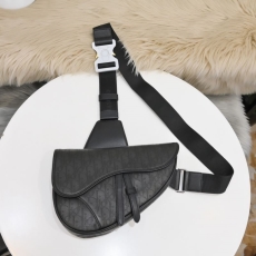 Mens Christian Dior Waist Chest Packs